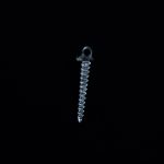 carp-accessories-Plastic-Bait-Screw-Long-27-mm-Clear2