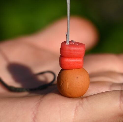 fake pop up corn carp fishing