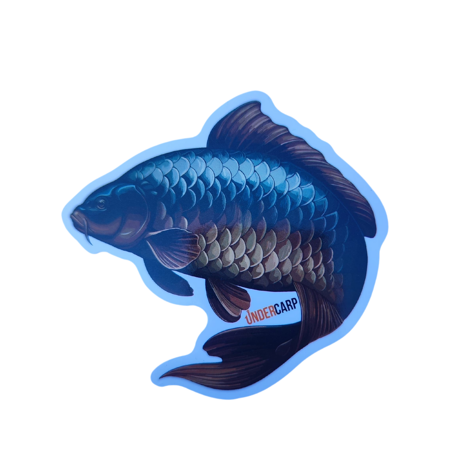 Sticker Carp Fish undercarp